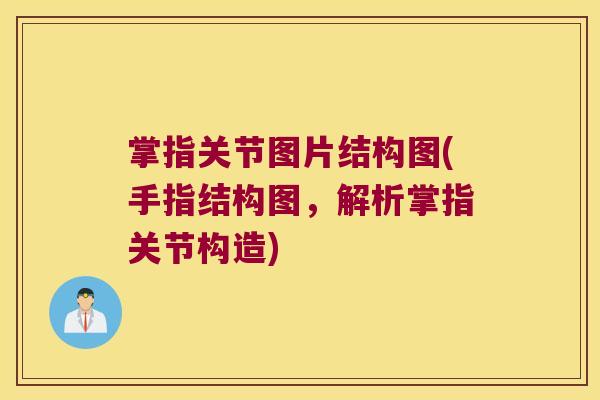 掌指关节图片结构图(手指结构图，解析掌指关节构造)