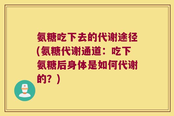 氨糖吃下去的代谢途径(氨糖代谢通道：吃下氨糖后身体是如何代谢的？)