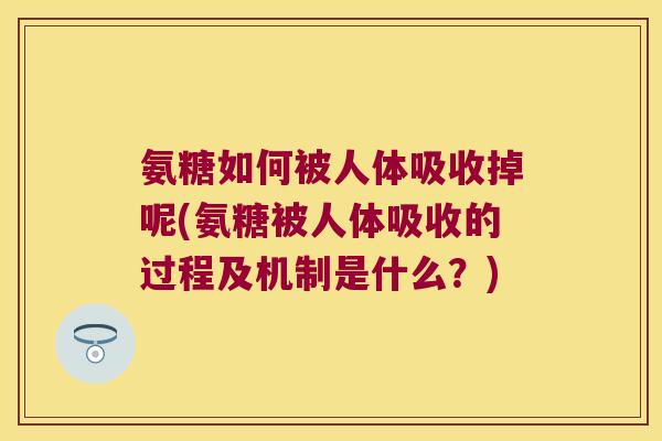 氨糖如何被人体吸收掉呢(氨糖被人体吸收的过程及机制是什么？)
