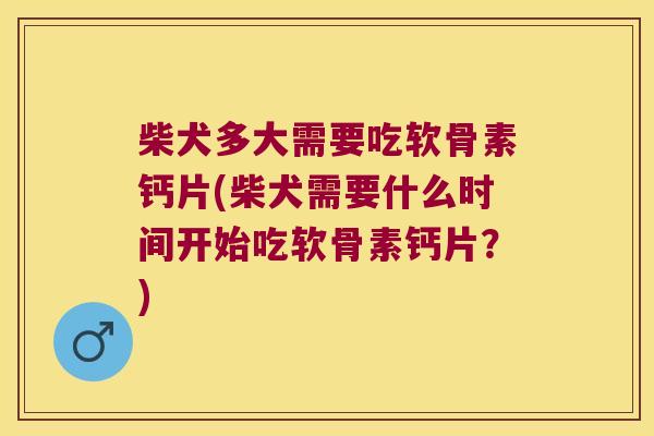 柴犬多大需要吃软骨素钙片(柴犬需要什么时间开始吃软骨素钙片?) 柴犬多大需要吃软骨素钙片(柴犬需要什么时间开始吃软骨素钙片?)