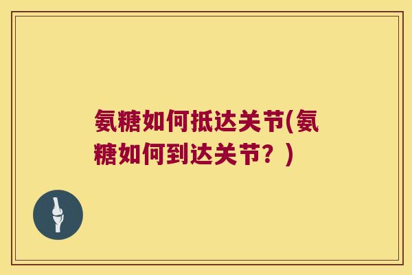 氨糖如何抵达关节(氨糖如何到达关节？)