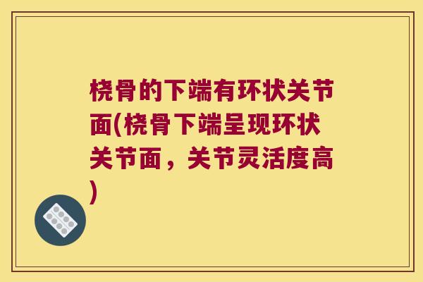 桡骨的下端有环状关节面(桡骨下端呈现环状关节面，关节灵活度高)
