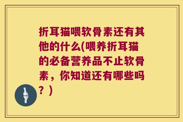 折耳猫喂软骨素还有其他的什么(喂养折耳猫的必备营养品不止软骨素，你知道还有哪些吗？)