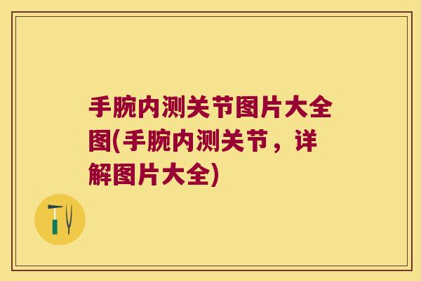 手腕内测关节图片大全图(手腕内测关节,详解图片大全) 手腕内测关节图片大全图(手腕内测关节,详解图片大全)