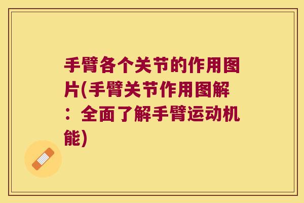 手臂各个关节的作用图片(手臂关节作用图解：全面了解手臂运动机能)