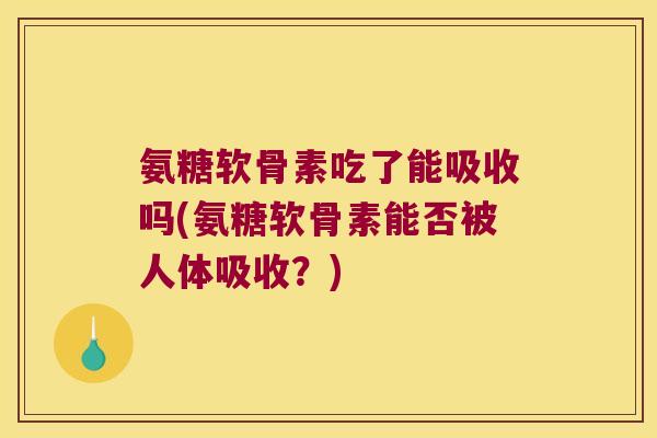 氨糖软骨素吃了能吸收吗(氨糖软骨素能否被人体吸收？)