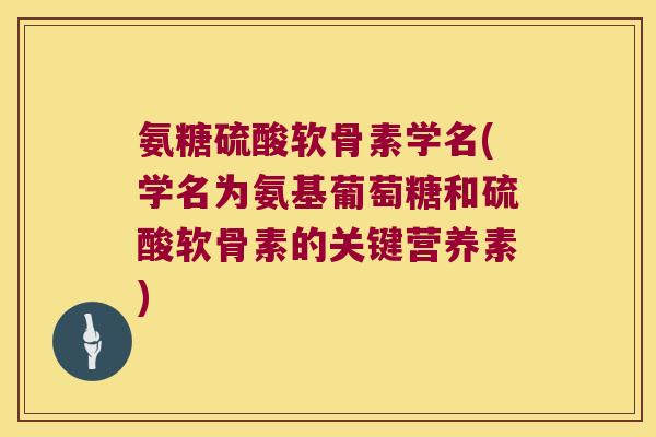 氨糖硫酸软骨素学名(学名为氨基葡萄糖和硫酸软骨素的关键营养素)