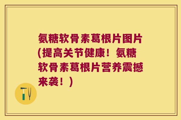 氨糖软骨素葛根片图片(提高关节健康！氨糖软骨素葛根片营养震撼来袭！)