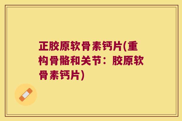 正胶原软骨素钙片(重构骨骼和关节:胶原软骨素钙片) 正胶原软骨素钙片(重构骨骼和关节:胶原软骨素钙片)