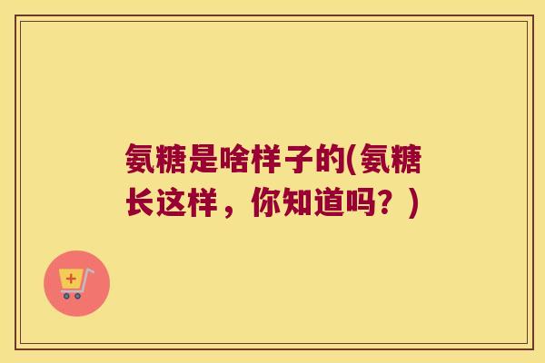 氨糖是啥样子的(氨糖长这样,你知道吗?) 氨糖是啥样子的(氨糖长这样,你知道吗?)