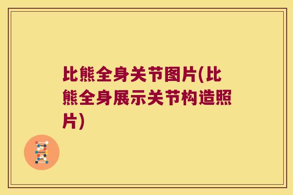 比熊全身关节图片(比熊全身展示关节构造照片) 比熊全身关节图片(比熊全身展示关节构造照片)