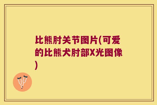 比熊肘关节图片(可爱的比熊犬肘部X光图像)