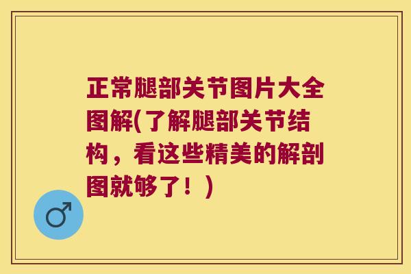 正常腿部关节图片大全图解(了解腿部关节结构,看这些精美的解剖图就够了!) 正常腿部关节图片大全图解(了解腿部关节结构,看这些精美的解剖图就够了!)