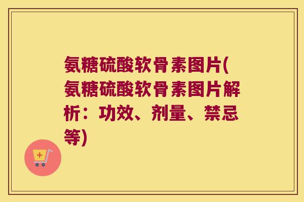 氨糖硫酸软骨素图片(氨糖硫酸软骨素图片解析:功效、剂量、禁忌等) 氨糖硫酸软骨素图片(氨糖硫酸软骨素图片解析:功效、剂量、禁忌等)