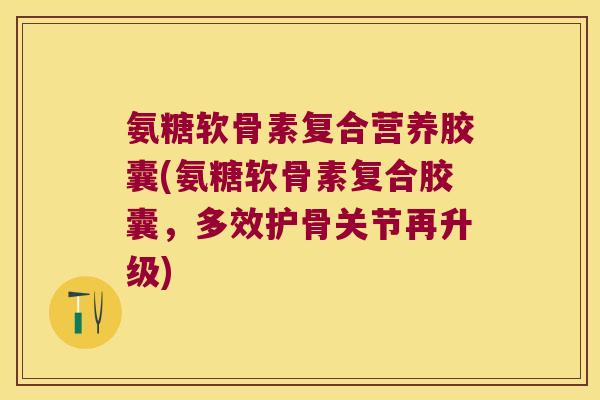 氨糖软骨素复合营养胶囊(氨糖软骨素复合胶囊，多效护骨关节再升级)