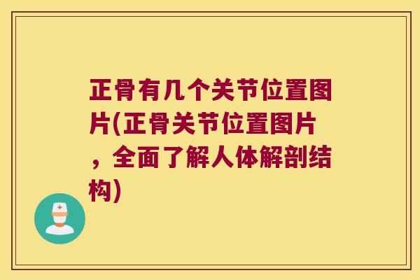 正骨有几个关节位置图片(正骨关节位置图片,全面了解人体解剖结构) 正骨有几个关节位置图片(正骨关节位置图片,全面了解人体解剖结构)
