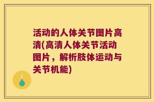 活动的人体关节图片高清(高清人体关节活动图片，解析肢体运动与关节机能)