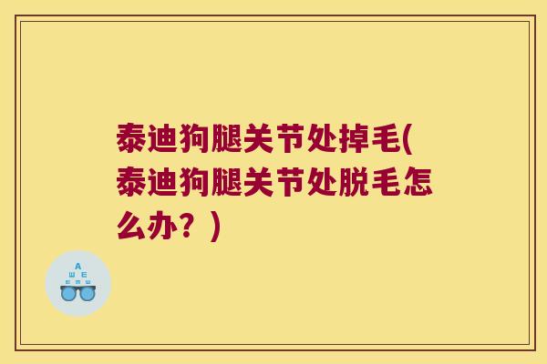 泰迪狗腿关节处掉毛(泰迪狗腿关节处脱毛怎么办？)