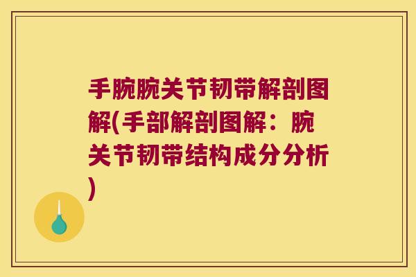 手腕腕关节韧带解剖图解(手部解剖图解：腕关节韧带结构成分分析)