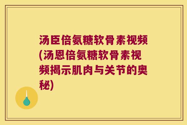 汤臣倍氨糖软骨素视频(汤恩倍氨糖软骨素视频揭示肌肉与关节的奥秘)