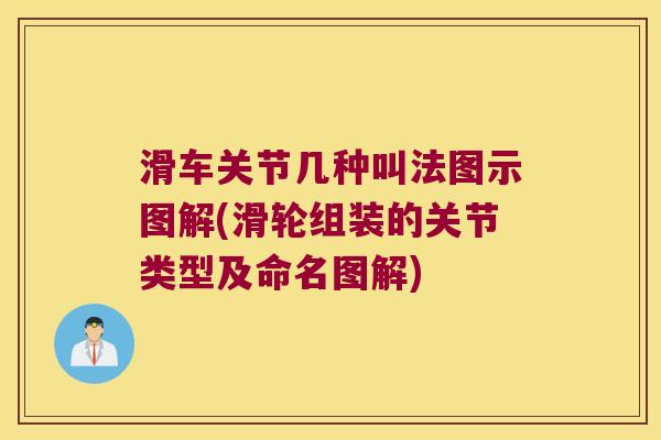 滑车关节几种叫法图示图解(滑轮组装的关节类型及命名图解) 滑车关节几种叫法图示图解(滑轮组装的关节类型及命名图解)