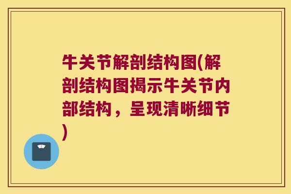 牛关节解剖结构图(解剖结构图揭示牛关节内部结构,呈现清晰细节) 牛关节解剖结构图(解剖结构图揭示牛关节内部结构,呈现清晰细节)