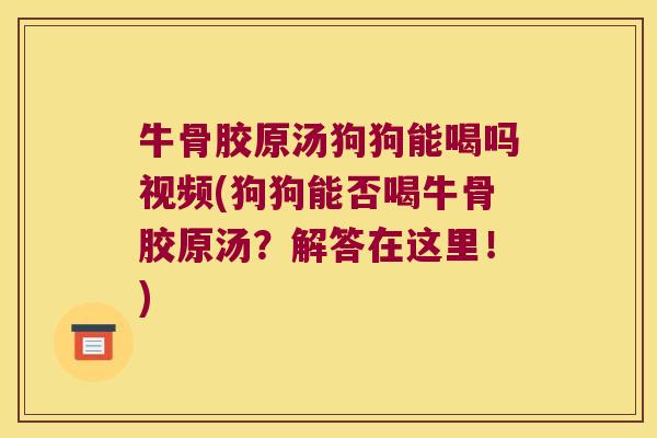 牛骨胶原汤狗狗能喝吗视频(狗狗能否喝牛骨胶原汤？解答在这里！)