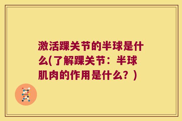 激活踝关节的半球是什么(了解踝关节：半球肌肉的作用是什么？)