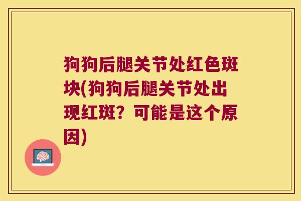 狗狗后腿关节处红色斑块(狗狗后腿关节处出现红斑？可能是这个原因)