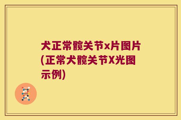犬正常髋关节x片图片(正常犬髋关节X光图示例)