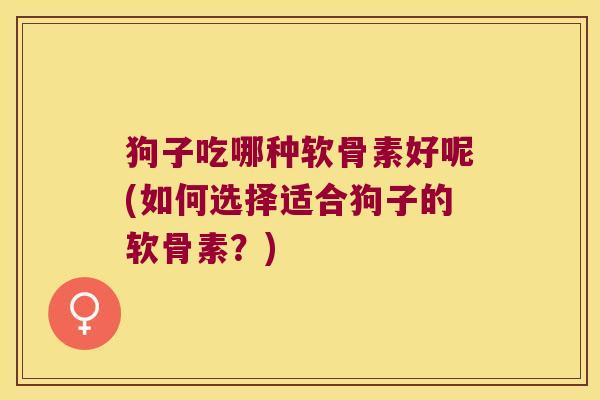 狗子吃哪种软骨素好呢(如何选择适合狗子的软骨素？)