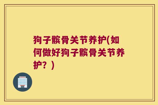 狗子髌骨关节养护(如何做好狗子髌骨关节养护?) 狗子髌骨关节养护(如何做好狗子髌骨关节养护?)