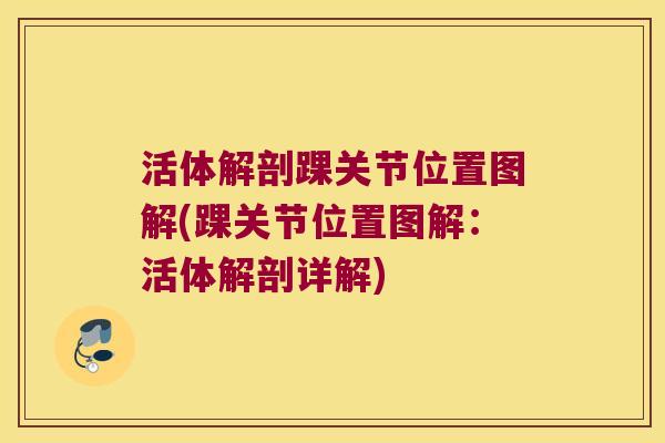 活体解剖踝关节位置图解(踝关节位置图解：活体解剖详解)