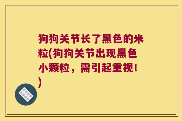 狗狗关节长了黑色的米粒(狗狗关节出现黑色小颗粒,需引起重视!) 狗狗关节长了黑色的米粒(狗狗关节出现黑色小颗粒,需引起重视!)