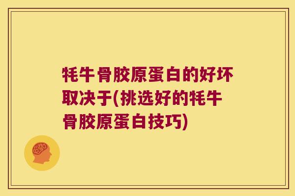 牦牛骨胶原蛋白的好坏取决于(挑选好的牦牛骨胶原蛋白技巧) 牦牛骨胶原蛋白的好坏取决于(挑选好的牦牛骨胶原蛋白技巧)
