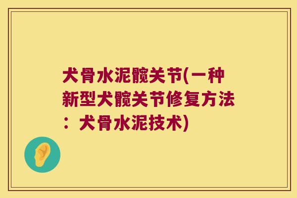 犬骨水泥髋关节(一种新型犬髋关节修复方法：犬骨水泥技术)
