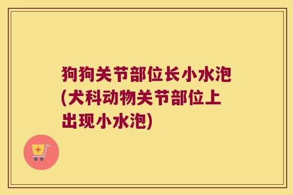 狗狗关节部位长小水泡(犬科动物关节部位上出现小水泡) 狗狗关节部位长小水泡(犬科动物关节部位上出现小水泡)