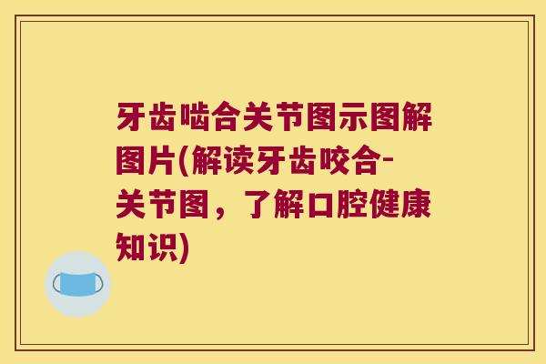 牙齿啮合关节图示图解图片(解读牙齿咬合-关节图，了解口腔健康知识)