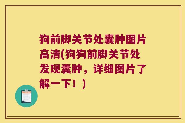 狗前脚关节处囊肿图片高清(狗狗前脚关节处发现囊肿,详细图片了解一下!) 狗前脚关节处囊肿图片高清(狗狗前脚关节处发现囊肿,详细图片了解一下!)