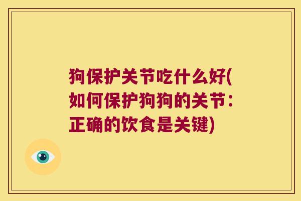 狗保护关节吃什么好(如何保护狗狗的关节：正确的饮食是关键)