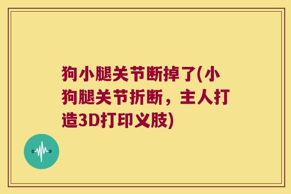 狗小腿关节断掉了(小狗腿关节折断，主人打造3D打印义肢)