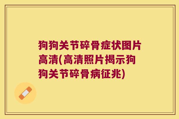狗狗关节碎骨症状图片高清(高清照片揭示狗狗关节碎骨征兆) 狗狗关节碎骨症状图片高清(高清照片揭示狗狗关节碎骨征兆)