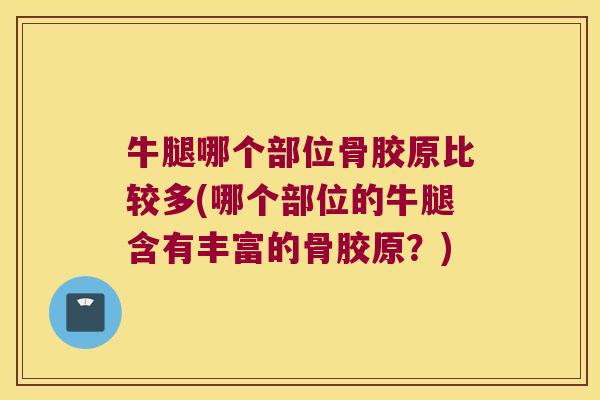 牛腿哪个部位骨胶原比较多(哪个部位的牛腿含有丰富的骨胶原？)