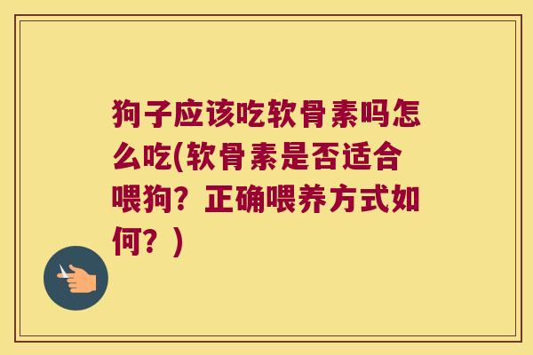 狗子应该吃软骨素吗怎么吃(软骨素是否适合喂狗？正确喂养方式如何？)