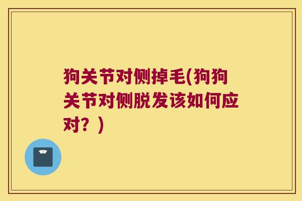狗关节对侧掉毛(狗狗关节对侧该如何应对？)