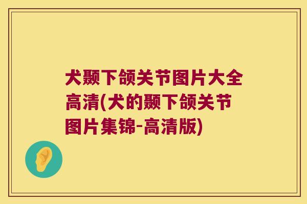 犬颞下颌关节图片大全高清(犬的颞下颌关节图片集锦-高清版) 犬颞下颌关节图片大全高清(犬的颞下颌关节图片集锦-高清版)