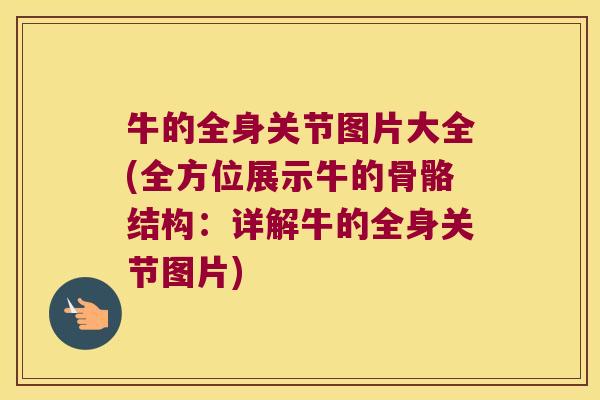 牛的全身关节图片大全(全方位展示牛的骨骼结构:详解牛的全身关节图片) 牛的全身关节图片大全(全方位展示牛的骨骼结构:详解牛的全身关节图片)