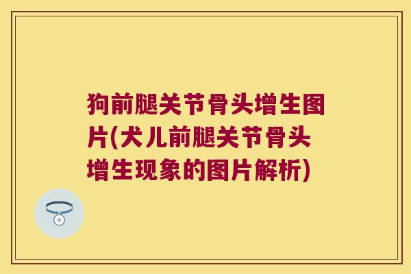 狗前腿关节骨头增生图片(犬儿前腿关节骨头增生现象的图片解析)