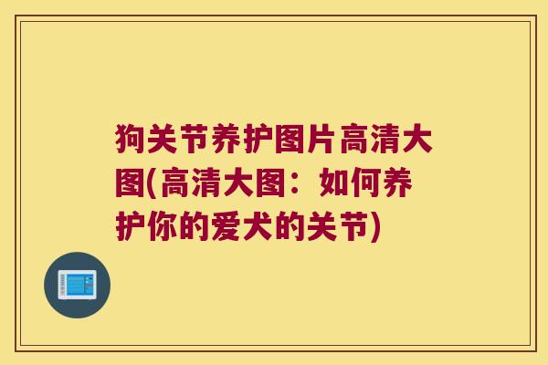 狗关节养护图片高清大图(高清大图：如何养护你的爱犬的关节)