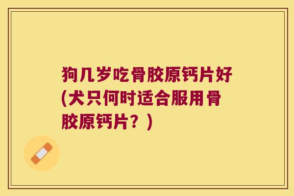 狗几岁吃骨胶原钙片好(犬只何时适合服用骨胶原钙片？)